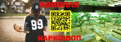 прущие крисы Чебоксары