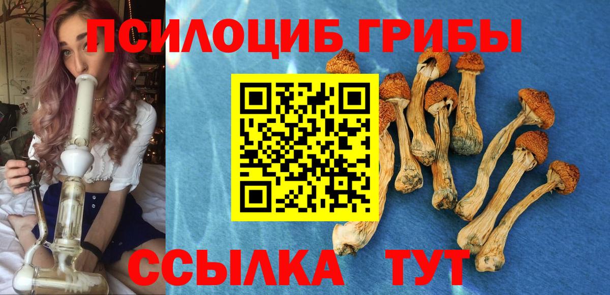 Псилоцибиновые грибы Psilocybe  Галлюциногенные грибы Magic Shrooms  Вход с VPN  купить наркотики сайты  Троицк 